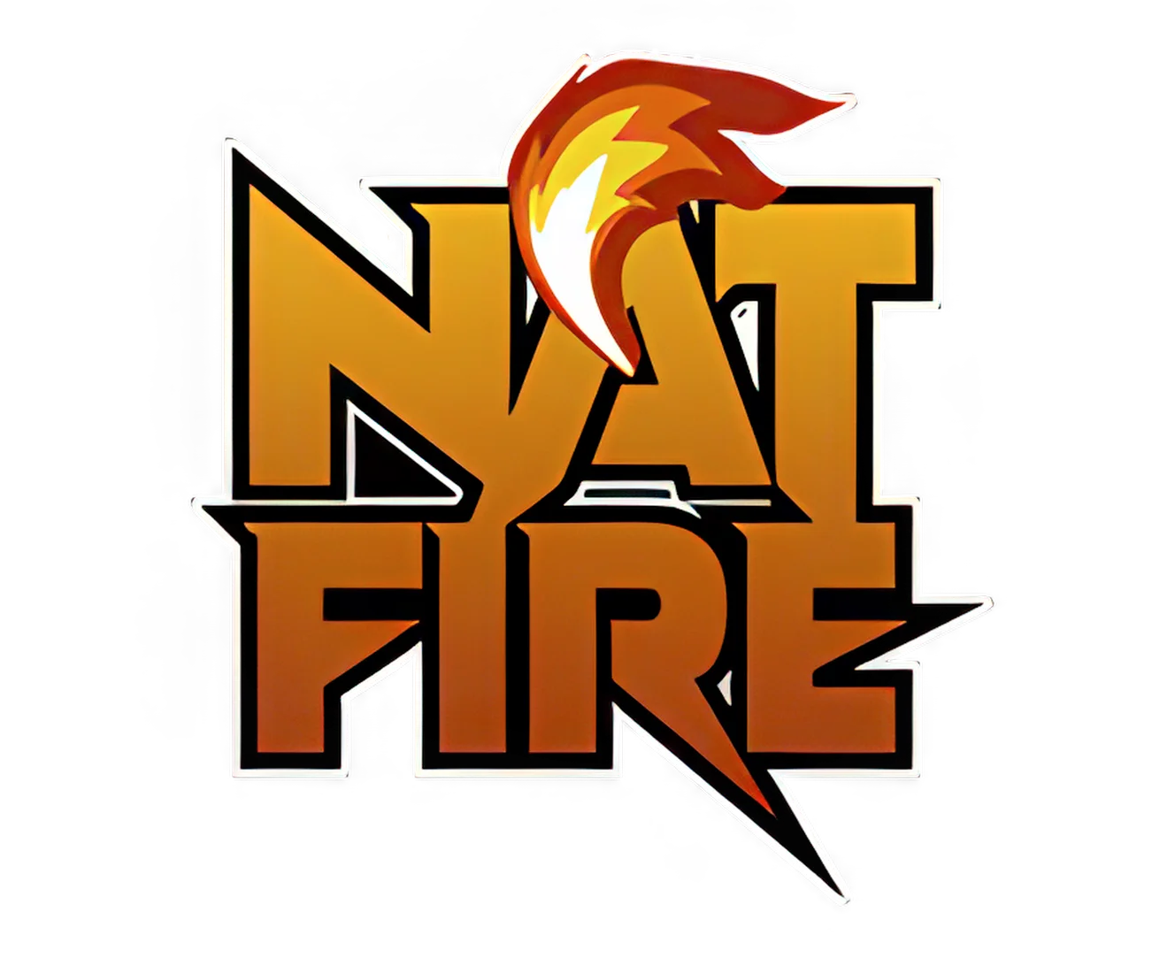 Natfire logo